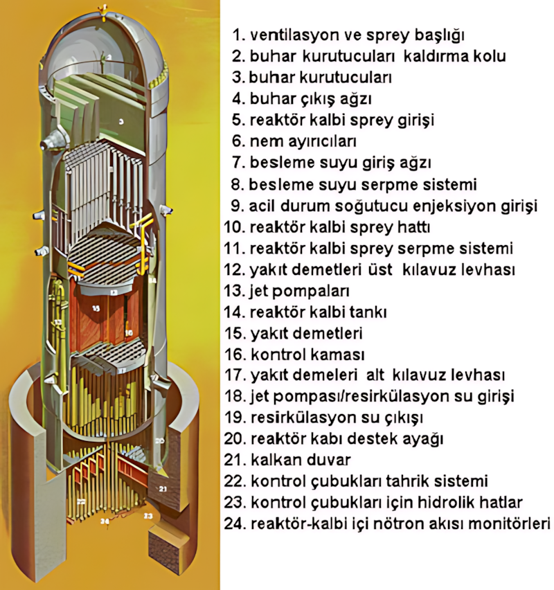 BWR reaktör kabında soğutucu ve buhar akışı