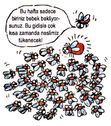 Tarımda nükleer teknoloji